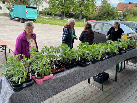 Pflanzenmarkt2024_3